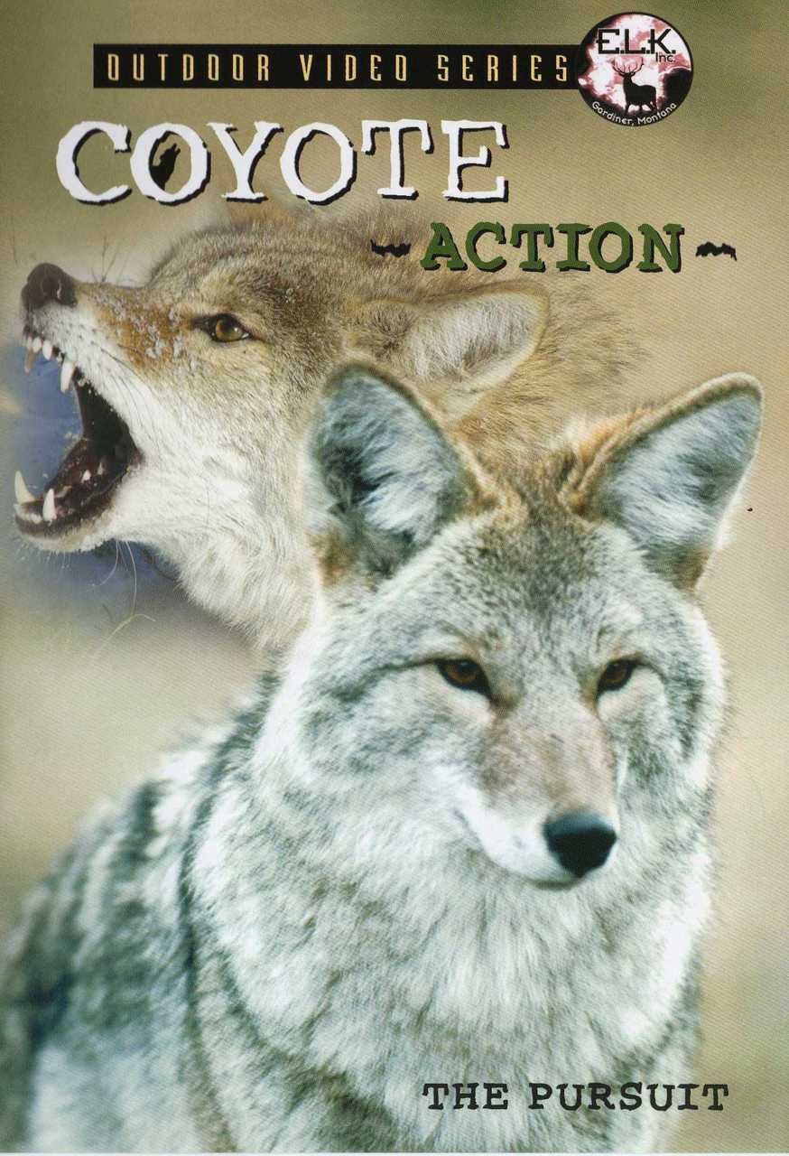 Coyote Action DVD