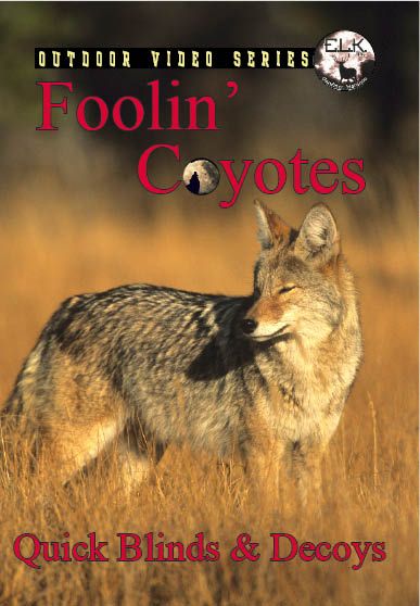 Foolin' Coyotes DVD