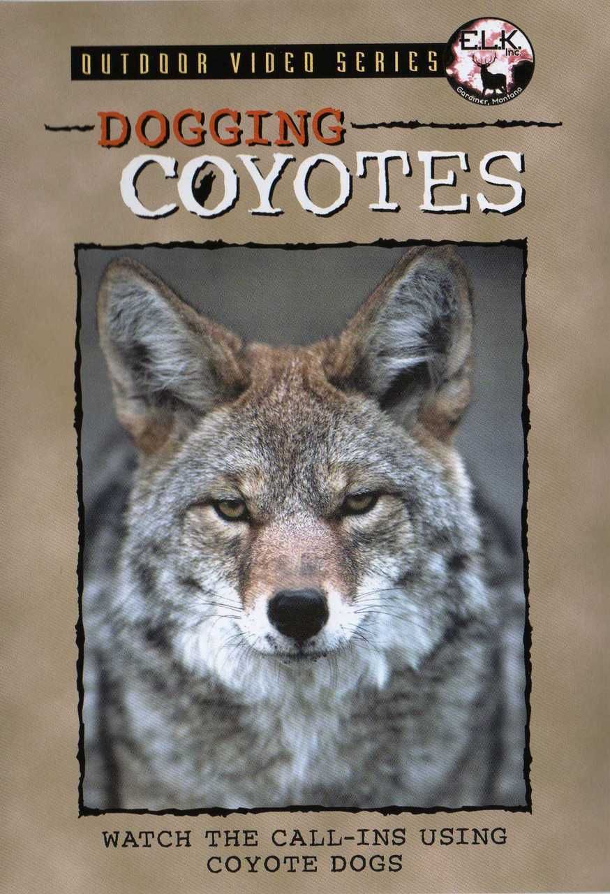 Dogging Coyotes DVD