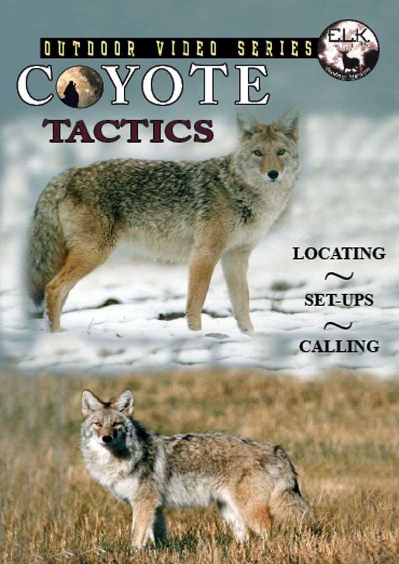 Coyote Tactics DVD